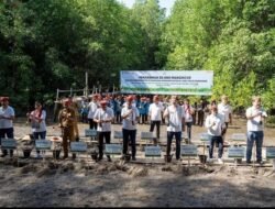 Peringati Hari Lingkungan Hidup Sedunia, Yayasan AHM Tanam Puluhan Ribu Mangrove