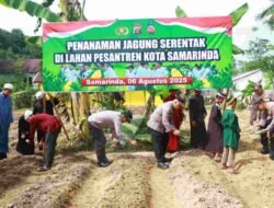 Polsek Palaran dan Ponpes Khoiru Ummah Gelar Penanaman Jagung Serentak Dukung Ketahanan Pangan Nasional.