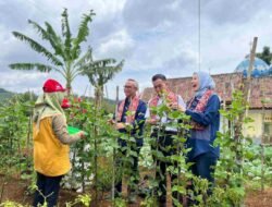 Yayasan AHM Kembangkan Desa Sejahtera Astra Honda di Ciamis