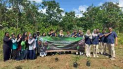 Langkah Nyata KKT, KRPL Cabe Ceria Dorong Kesejahteraan Warga Kariangau Lewat Program TJSL.