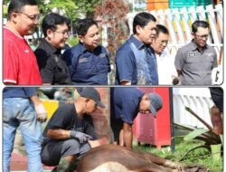 Semangat Berbagi Iduladha, Kejari Samarinda Salurkan 300 Kantong Daging Kurban untuk Masyarakat dan Panti Asuhan.