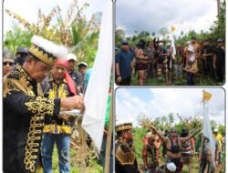 Pohon Sakral Ditebang, Sultan Sambaliung Turun Gunung Bantu Hak Masyarakat Adat Dayak Basab.