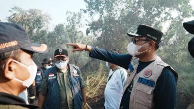 Karhutla Dekati Permukiman di Pendingin, Wagub Seno Aji Turun Langsung Pimpin Penanganan.