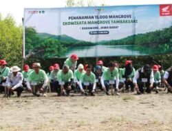 Bangun Rumah Semai Bibit Mangrove, AHM Tumbuhkan Harapan Baru bagi Pesisir Karawang.